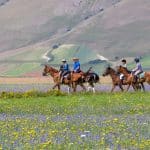 Horseback Riding In Italy